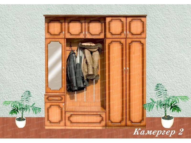 прихожая камергер 2 в Бийске