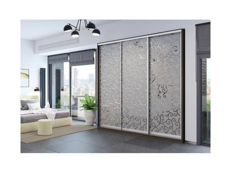 шкаф-купе silver dream модель г в Бийске