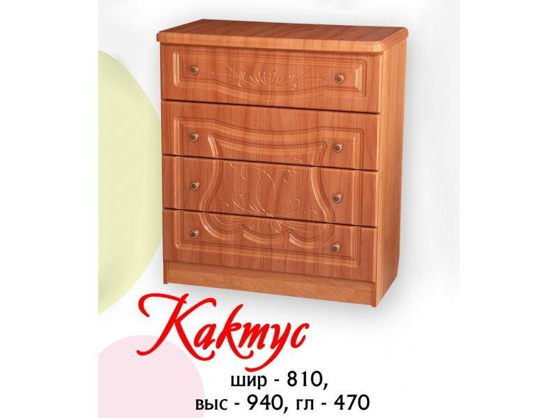 комод кактус в Бийске