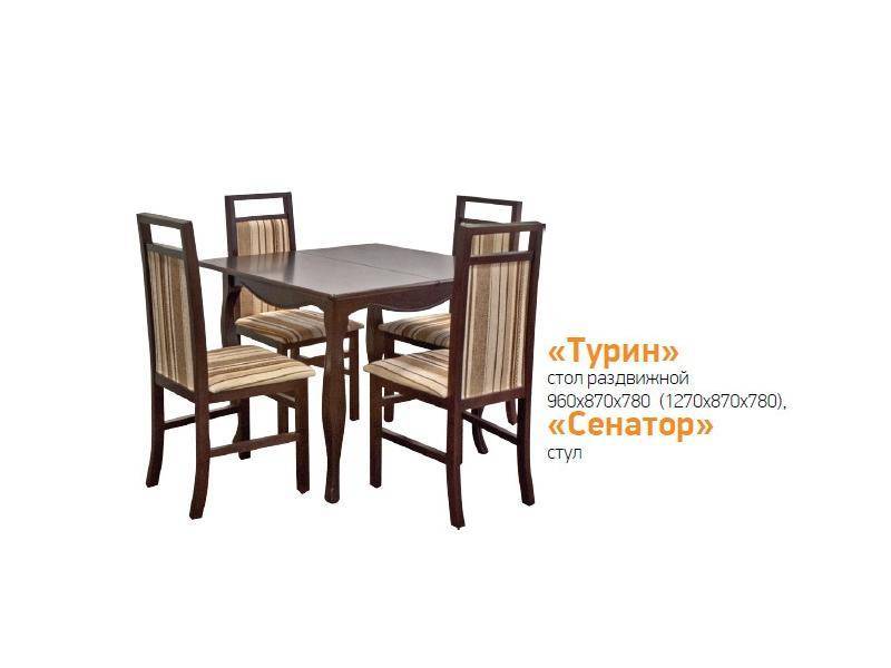 стол обеденный турин в Бийске