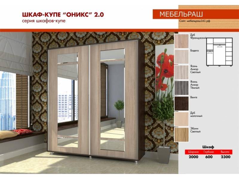 шкаф-купе прямой с зеркалами оникс 2.0 в Бийске