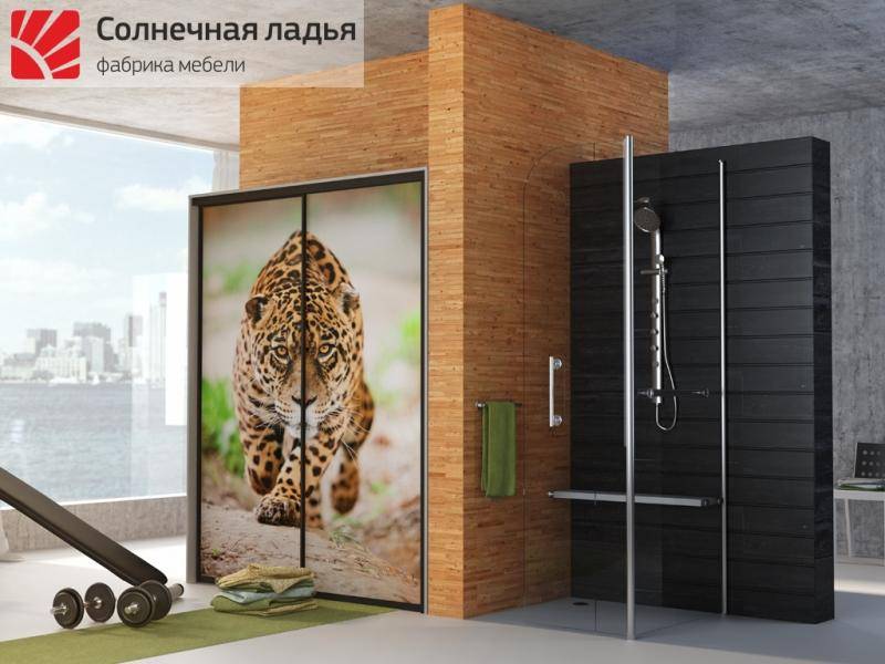 шкаф - купе фотопечать 4 в Бийске
