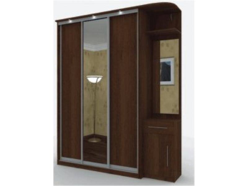 шкаф-купе 7003 в Бийске