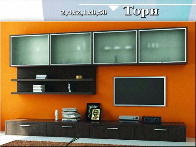 стенка «тори» в Бийске