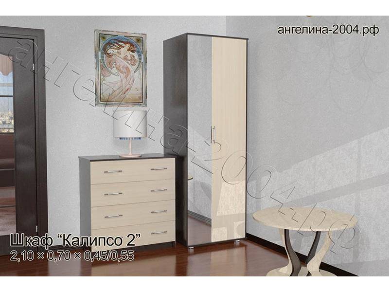шкаф калипсо 2 в Бийске