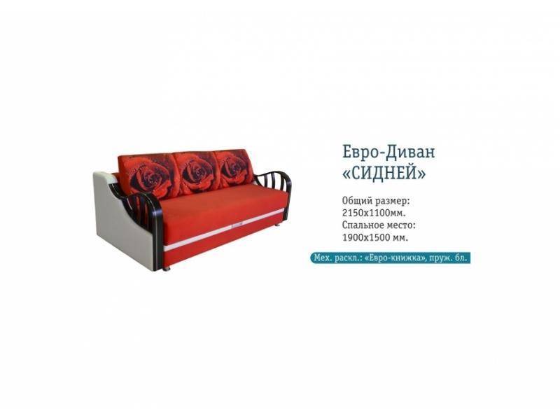 евро-диван сидней в Бийске