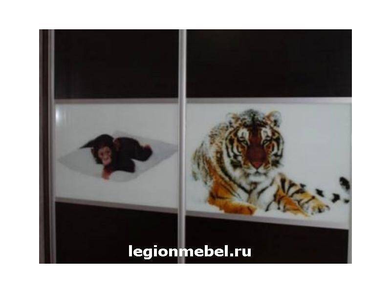 темный шкаф-купе с фотопечатью в Бийске