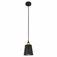 подвесной светильник lussole loft lsp-9861 в Бийске