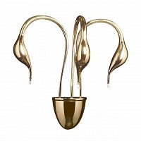 бра lightstar cigno collo 751632 в Бийске