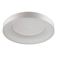 потолочный светодиодный светильник odeon light sole 4062/80cl в Бийске