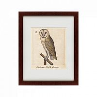 картина: one owl, 1560 в Бийске