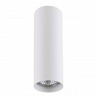 потолочный светильник lightstar rullo 214496 в Бийске