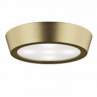 потолочный светильник lightstar urbano 214912 в Бийске
