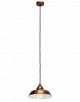 подвесной светильник eglo vintage 49243 в Бийске