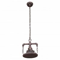 подвесной светильник lussole loft grlsp-9678 в Бийске