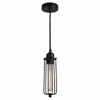 подвесной светильник lussole loft vi lsp-9608 в Бийске