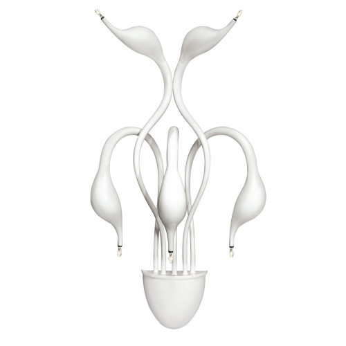 бра lightstar cigno collo wt 751656 в Бийске