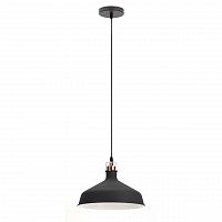 подвесной светильник эра loft pl2 bk/rc в Бийске