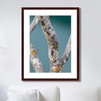 картина: trees on the galapagos islands, ecuador no3 в Бийске