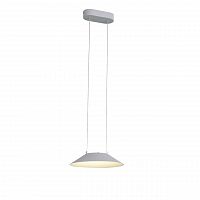 подвесной светодиодный светильник st luce pitto sl427.503.01 в Бийске