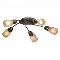 потолочная люстра lussole cevedale grlsq-6907-05 в Бийске