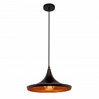 подвесной светильник loft it loft1843/b в Бийске
