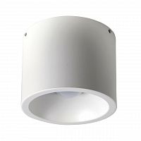 потолочный светодиодный светильник favourite reflector 1992-1c в Бийске