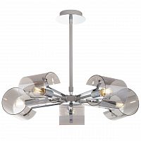 подвесная люстра freya seona fr5024pl-05gr в Бийске