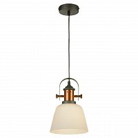 подвесной светильник lussole loft lsp-9846 в Бийске