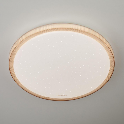 потолочный светодиодный светильник eurosvet sandy 40014/1 led кофе в Бийске