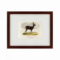картина: a roebuck, 1830 в Бийске