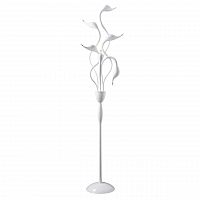 торшер lightstar cigno collo wt 751766 в Бийске