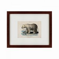 картина: white polar bear on an ice, 1830 в Бийске