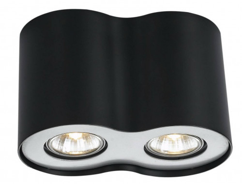 потолочный светильник arte lamp falcon a5633pl-2bk в Бийске