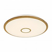 потолочный светодиодный светильник citilux старлайт cl70382r в Бийске