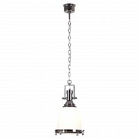 подвесной светильник lussole loft lsp-9613 в Бийске