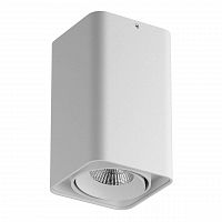 потолочный светодиодный светильник lightstar monocco 052136r в Бийске