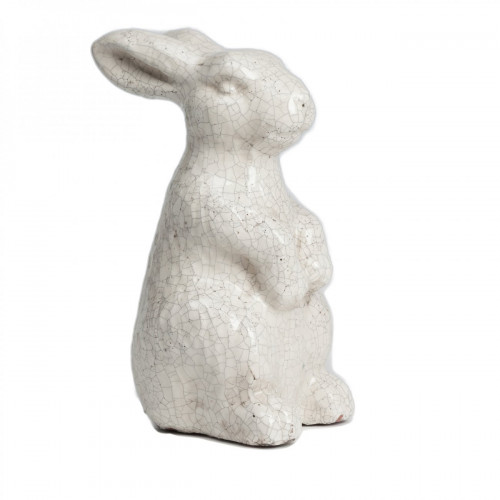 кролик декоративный rabbit в Бийске