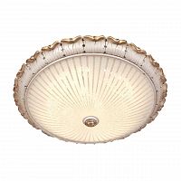 потолочный светодиодный светильник silver light louvre 843.50.7 в Бийске
