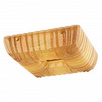 потолочный светильник lightstar zucche 820443 в Бийске