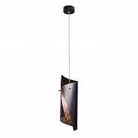 подвесной светильник loft it 1012-sbg в Бийске