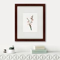 картина: apricot flower (prunus armeniaca), 1832 в Бийске
