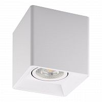 потолочный светильник denkirs dk3030-wh в Бийске