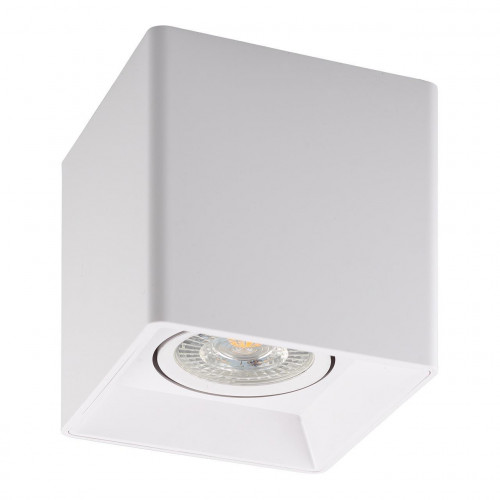 потолочный светильник denkirs dk3030-wh в Бийске