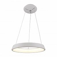 подвесной светодиодный светильник arte lamp a6250sp-1wh в Бийске