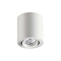 потолочный светильник odeon light tuborino 3567/1c в Бийске