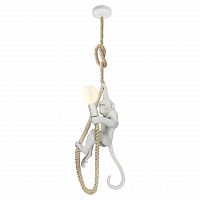 подвесной светильник lussole loft aya grlsp-9993 в Бийске