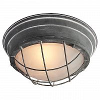 потолочный светильник lussole loft lsp-9881 в Бийске