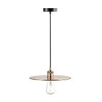 подвесной светильник lumion martin 3726/1 в Бийске