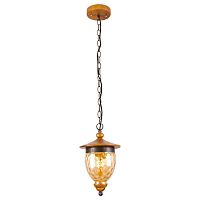подвесной светильник arte lamp catena a6711sp-1br в Бийске